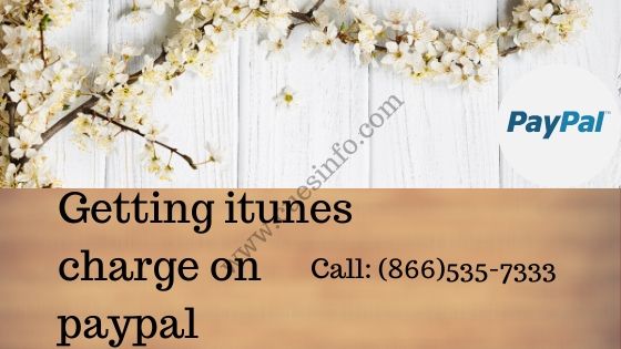 getting itunes charge on paypal